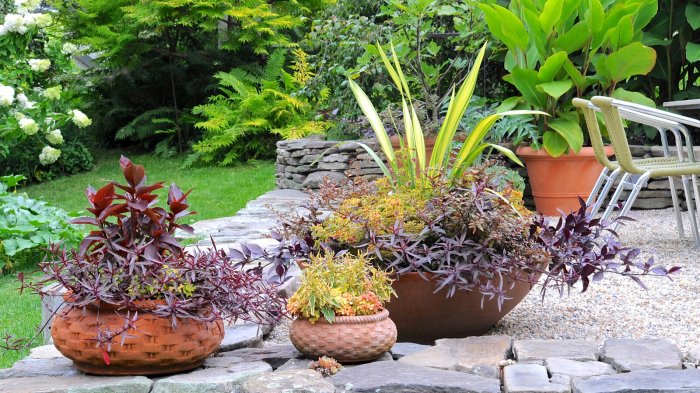 Cara Membuat Taman Depan Rumah dengan Pot Bekas