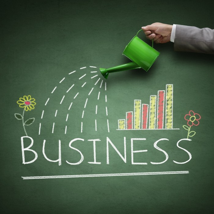 Scaling a Business Strategi Pertumbuhan Bisnis
