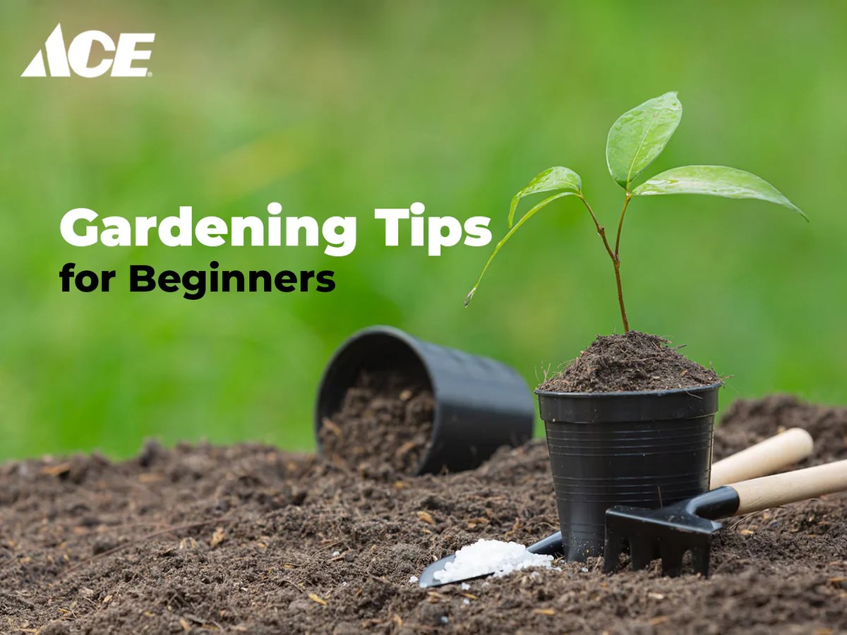 Gardening Tips