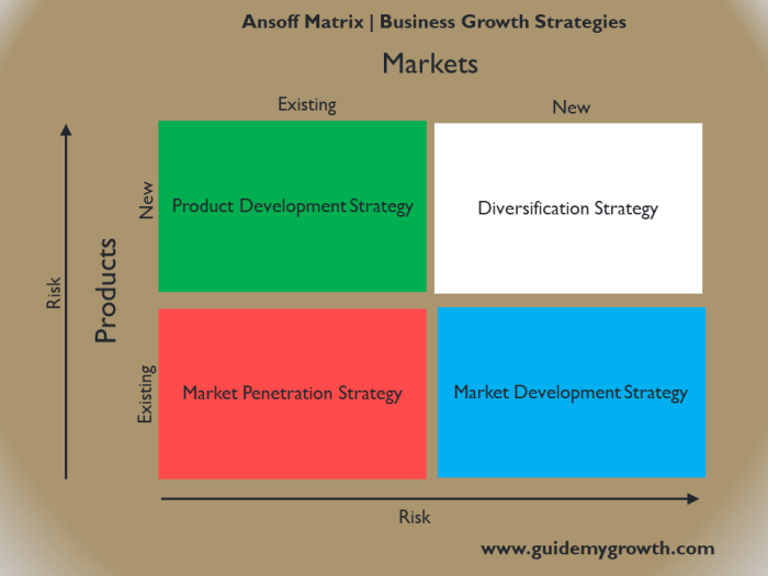 Growth strategies business matrix types ansoff strategy