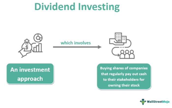 Dividend Income Investments Strategi & Risiko