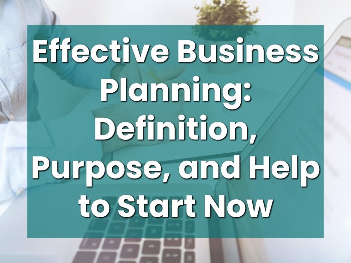 Business plan successful build