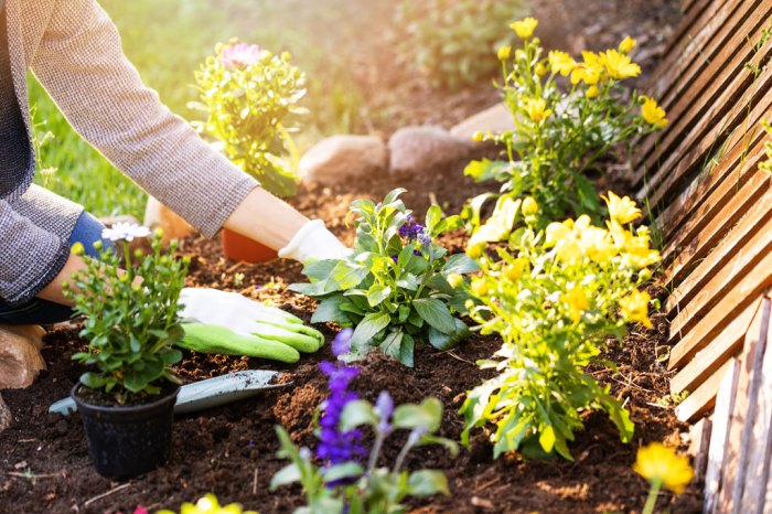 Gardening sustainable guide