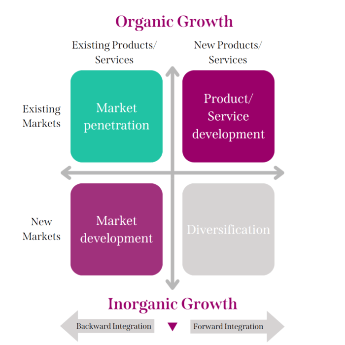 Growth strategies