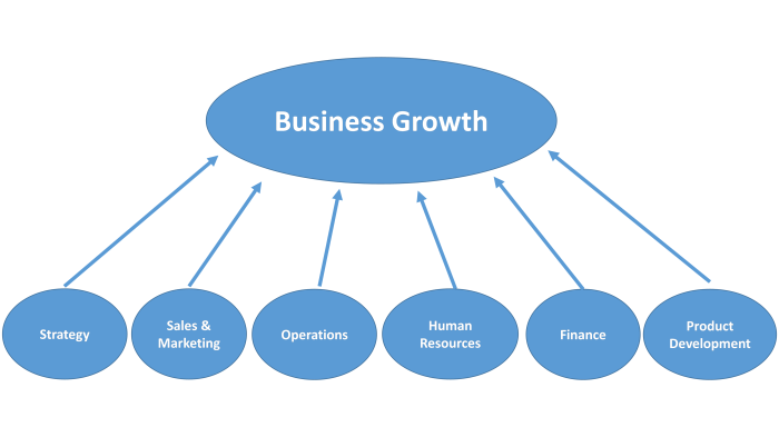 Growth business strategies small