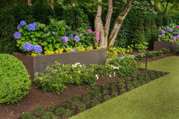 Lush lawn soil trees