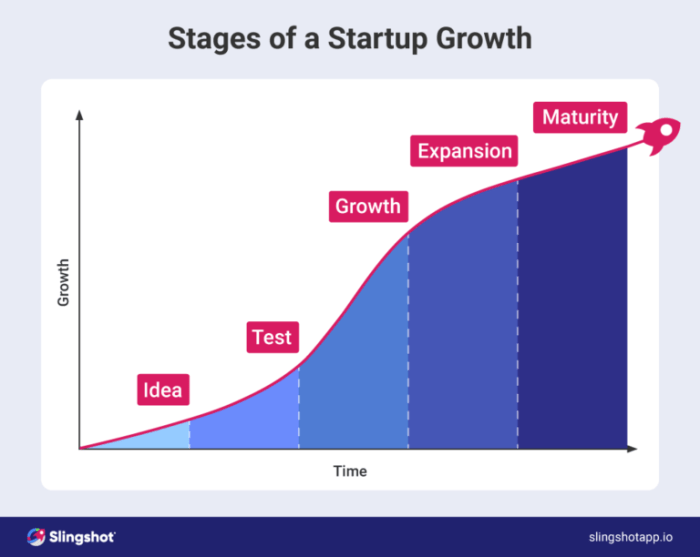 Strategy growth what startups techniques tech guide markets products combines